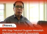 KPK Siap Telusuri Dugaan Masalah Perkebunan Sawit di Gorontalo Mulai 10 November