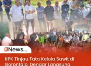 KPK Tinjau Tata Kelola Sawit di Gorontalo, Dengar Langsung Keluhan Petani Plasma